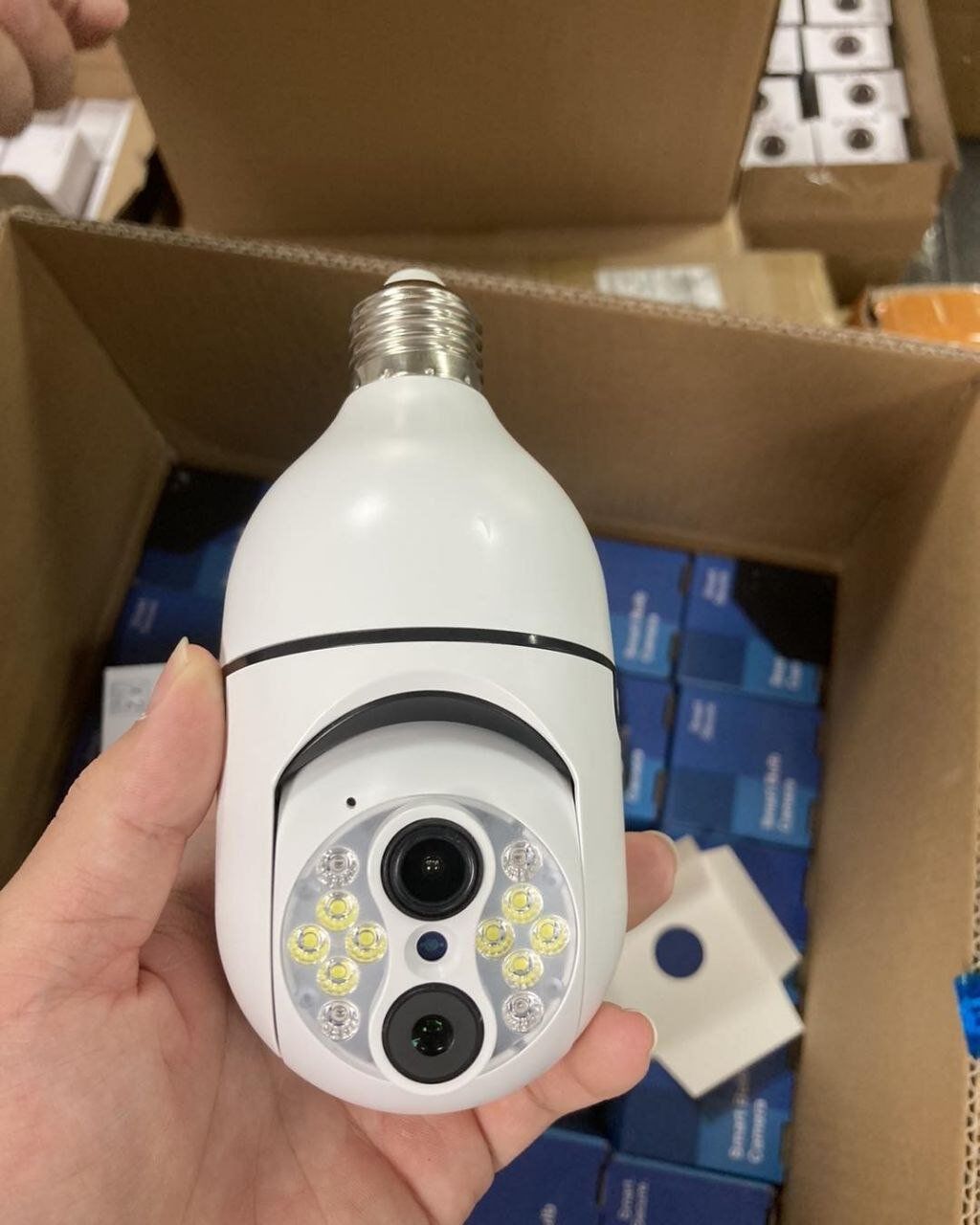 Light Bulb Camera Pallets - Image 9